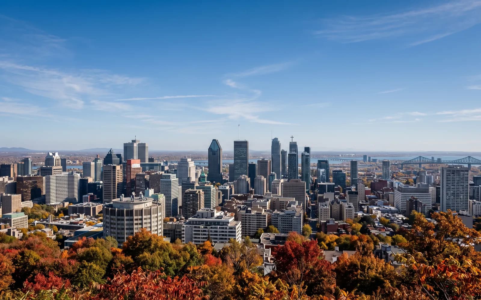 The Montreal skyline in clear daytime light